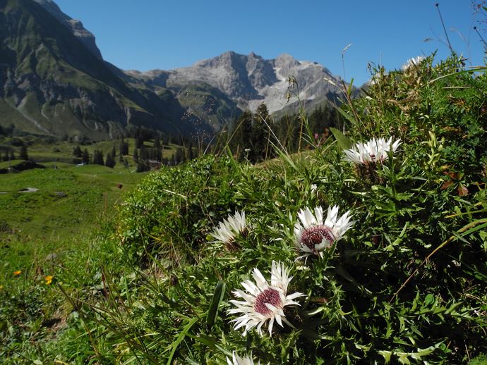 Geführte Bergtour Braunarlspitze 2.649 m