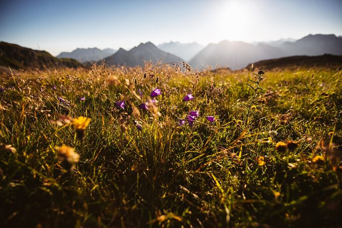 Kräuterwanderung