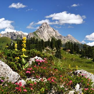 Biberkopf (2.599 m).