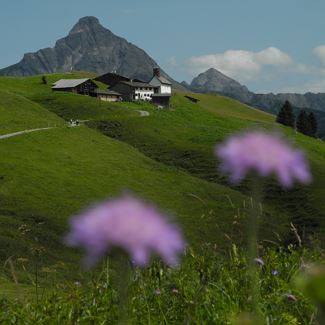 Bike & Hike Bürstegg.