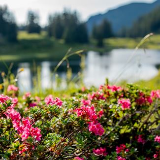 Vom Steffisalp-Express zum Körbersee und zum Kalbelesee.