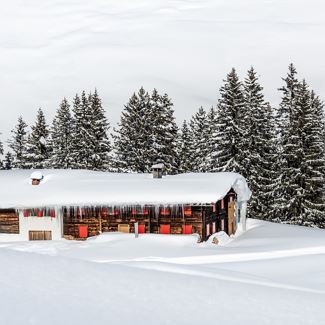 Winterwanderweg von Warth nach Lechleiten